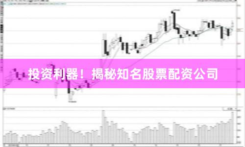 投资利器！揭秘知名股票配资公司